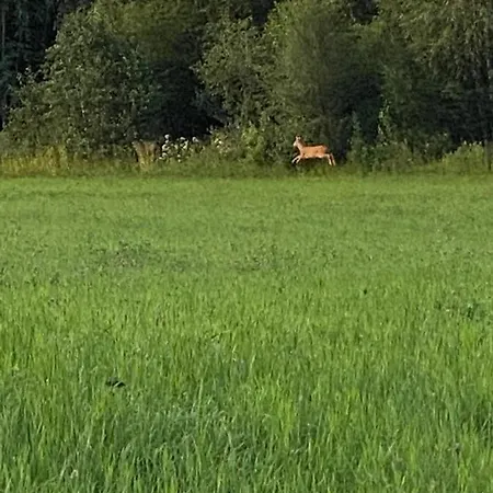 Fjellstad Gard - 2 Minutes From E6 And 5 Minutes Drive From City Steinkjer