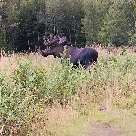 Fjellstad Gard - 2 Minutes From E6 And 5 Minutes Drive From City * Steinkjer