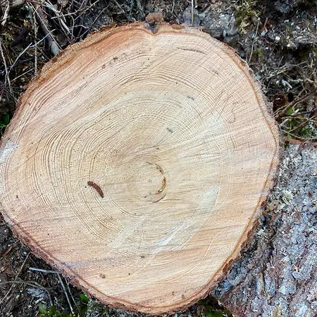 Fjellstad Gård - Landlig Og Sentralt Feriegårder