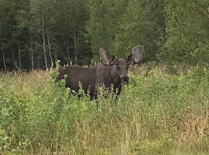 Fjellstad Gard - 2 Minutes From E6 And 5 Minutes Drive From City Steinkjer