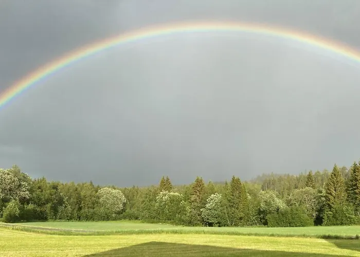 Fjellstad Gard - 2 Minutes From E6 And 5 Minutes Drive From City Vakantieboerderij Steinkjer