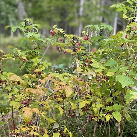 팜스테이 Fjellstad Gard - 2 Minutes From E6 And 5 Minutes Drive From City 스테인헤르