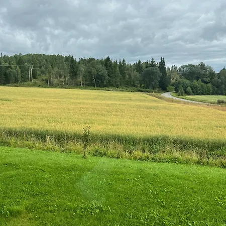 팜스테이 Fjellstad Gard - 2 Minutes From E6 And 5 Minutes Drive From City 스테인헤르