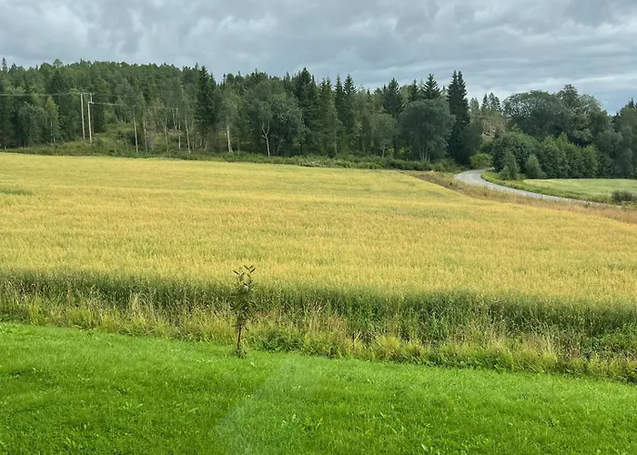 Séjour à la ferme Fjellstad Gard - 2 Minutes From E6 And 5 Minutes Drive From City Steinkjer